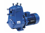 Self-Priming Pump